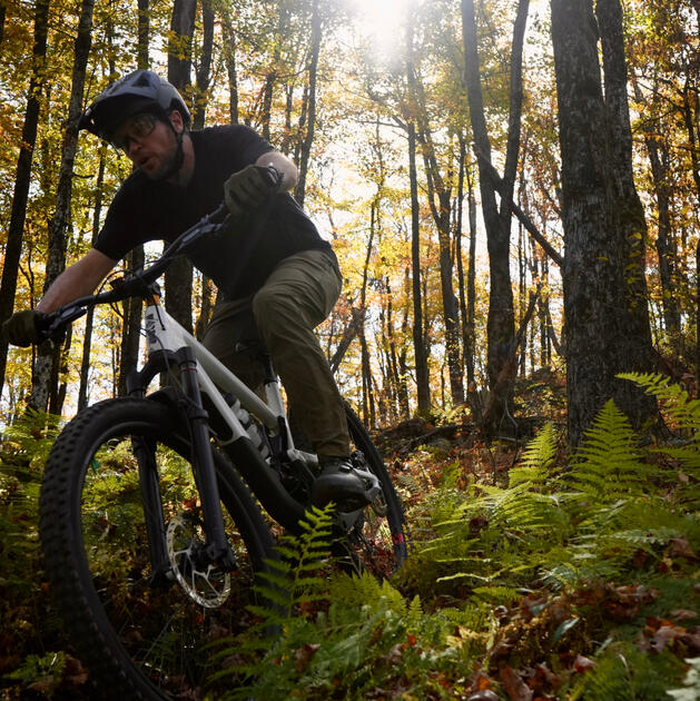 Descent Farfadet - Bromont